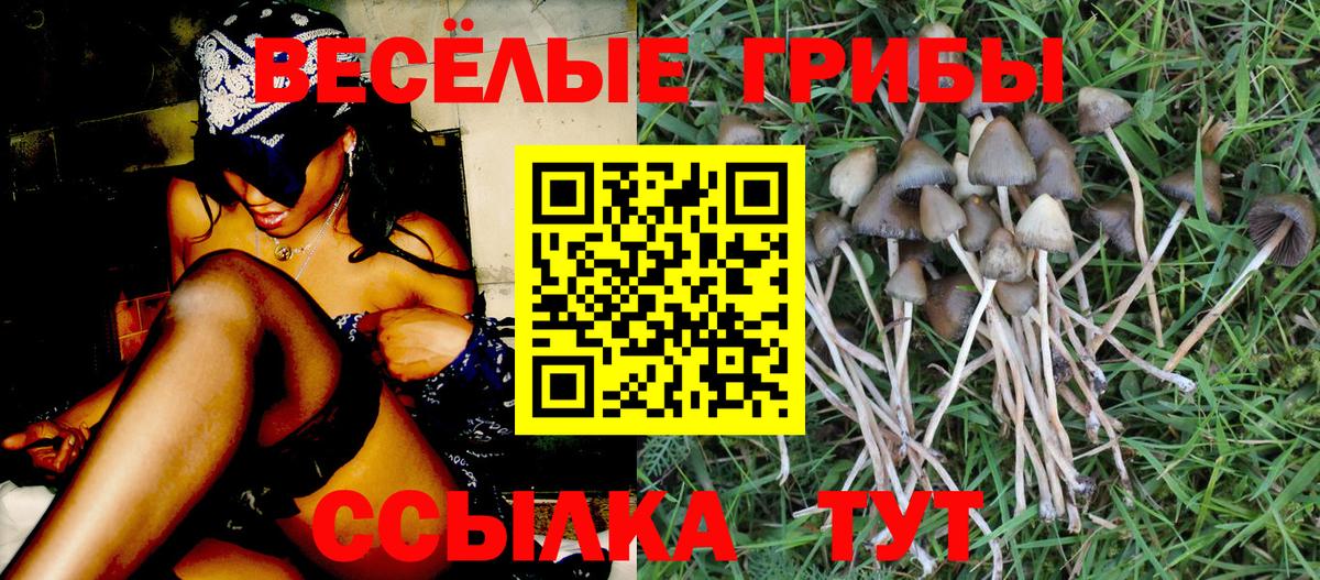 Псилоцибиновые грибы MAGIC MUSHROOMS Новошахтинск