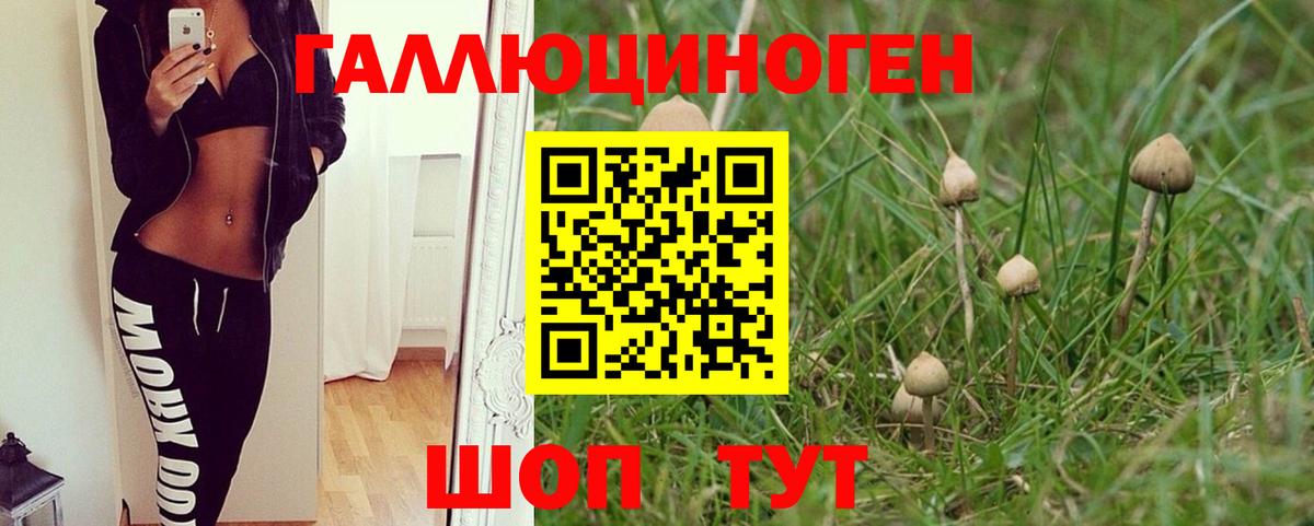 Новошахтинск  Псилоцибиновые грибы прущие грибы  Вход с VPN 